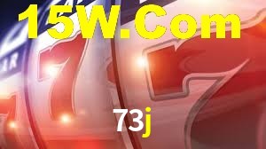 73j.com